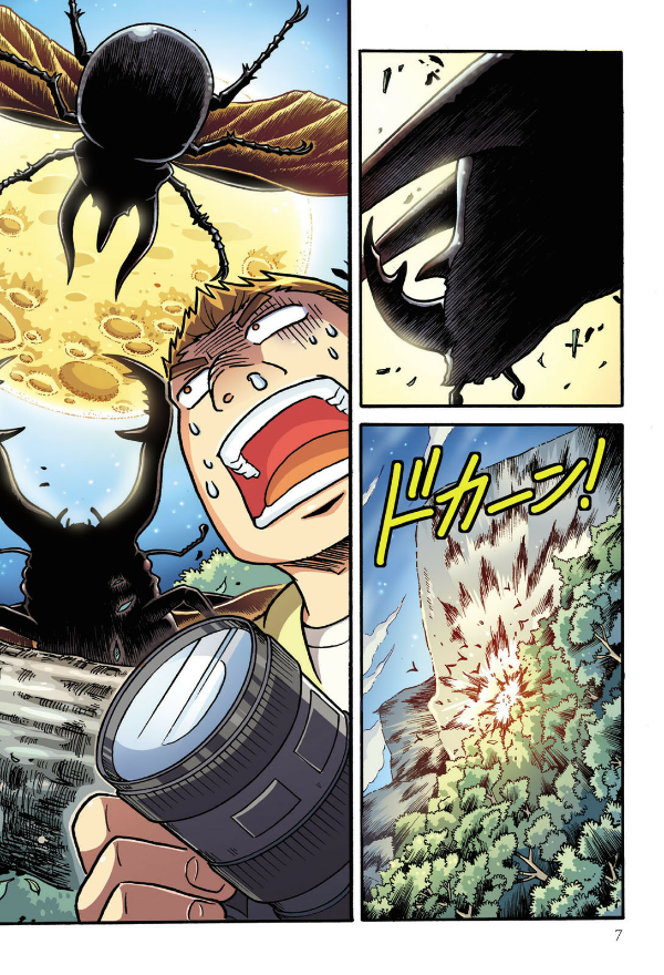 どっちが強い!? カブトムシvsクワガタムシ 昆虫王、決定戦 - docchi ga tsuyoi!? kabutomushi bui esu kuwagatamu - Ảnh 11