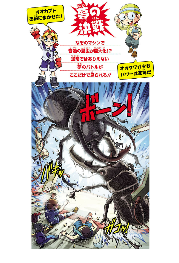 どっちが強い!? カブトムシvsクワガタムシ 昆虫王、決定戦 - docchi ga tsuyoi!? kabutomushi bui esu kuwagatamu - Ảnh 3