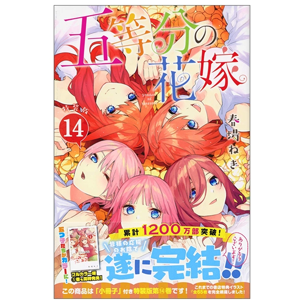 五等分の花嫁(14)特装版 (プレミアムkc) go toubun no hanayome toku sou 14