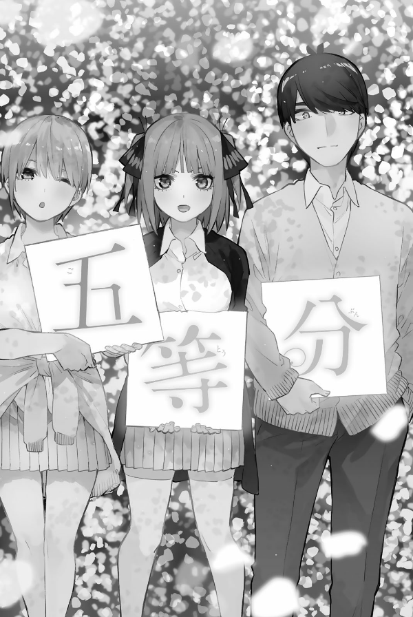 五等分の花嫁(14)特装版 (プレミアムkc) go toubun no hanayome toku sou 14 - Ảnh 7