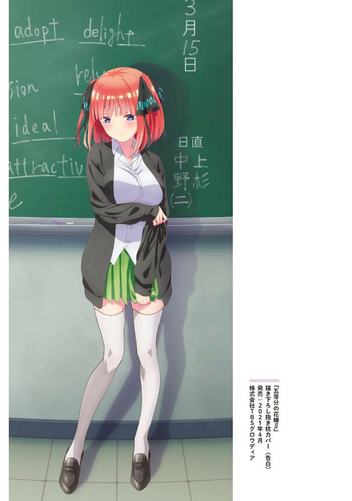 五等分の花嫁 ANIME VISUAL BOOK 二乃 - Nino Go Toubun No Hanayome Anime - Ảnh 9