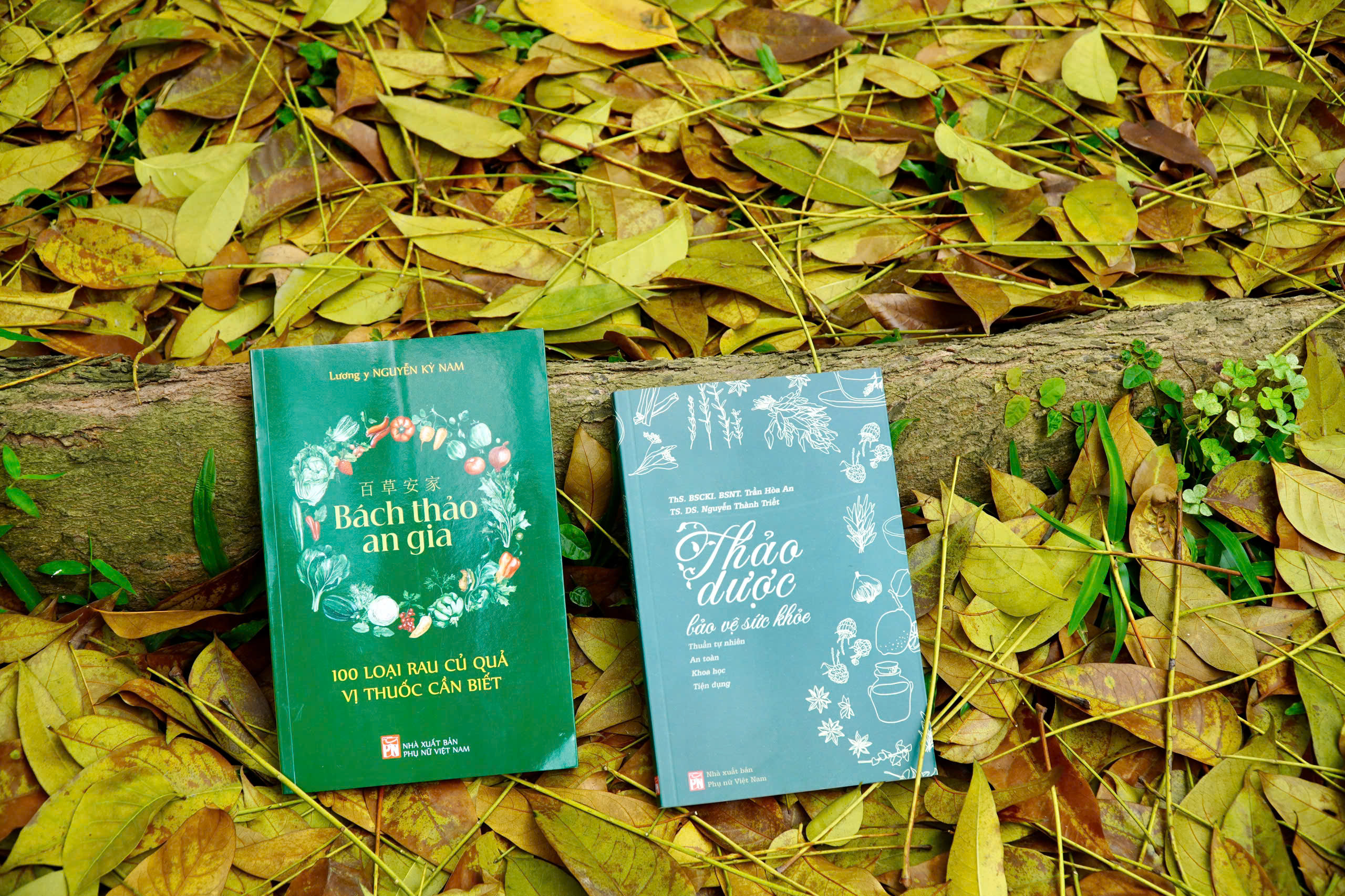 百 草 安 家 - Bách Thảo An Gia - 100 Loại Rau Củ Quả Vị Thuốc Cần Biết - Ảnh 4