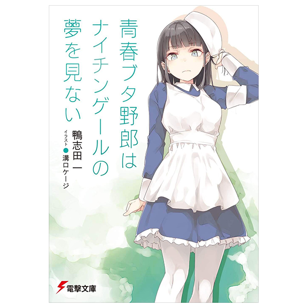 青春ブタ野郎はナイチンゲールの夢を見ない - seishun buta yaro wa naichingeru no yume wo minai (light novel)