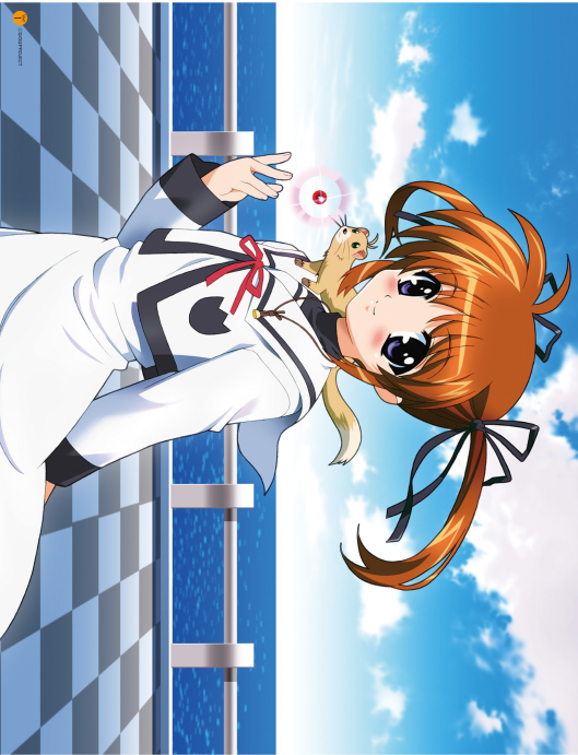 魔法少女リリカルなのは メモリアルビジュアルコレクション - Mahou Shoujo Ririkaruna No Wa Memoriarubijua - Magical Girl Lyrical Nanoha Memorial Visual Collection - Ảnh 4